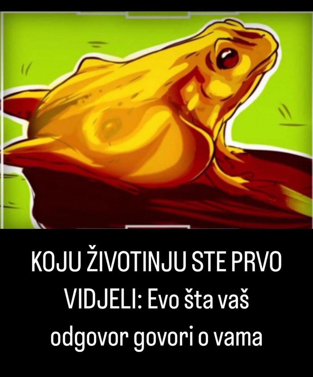 Koju životinju ste prvo vidjeli? Evo šta vaš odgovor može otkriti o vama